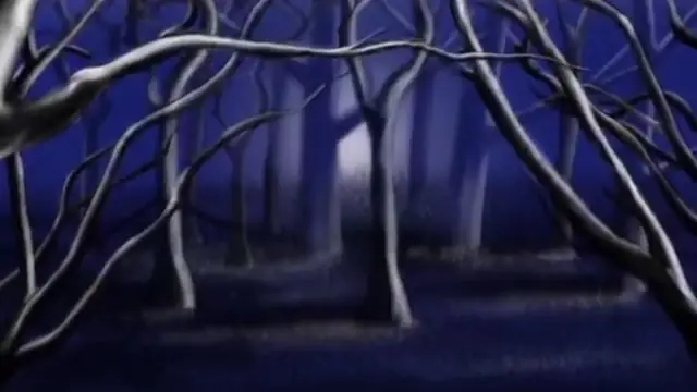 Foresta notturna in illustrazione digitale